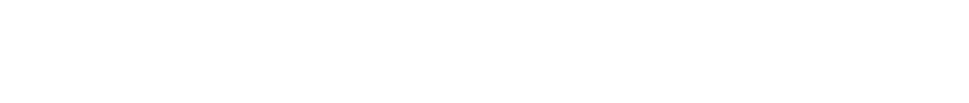 Premidel